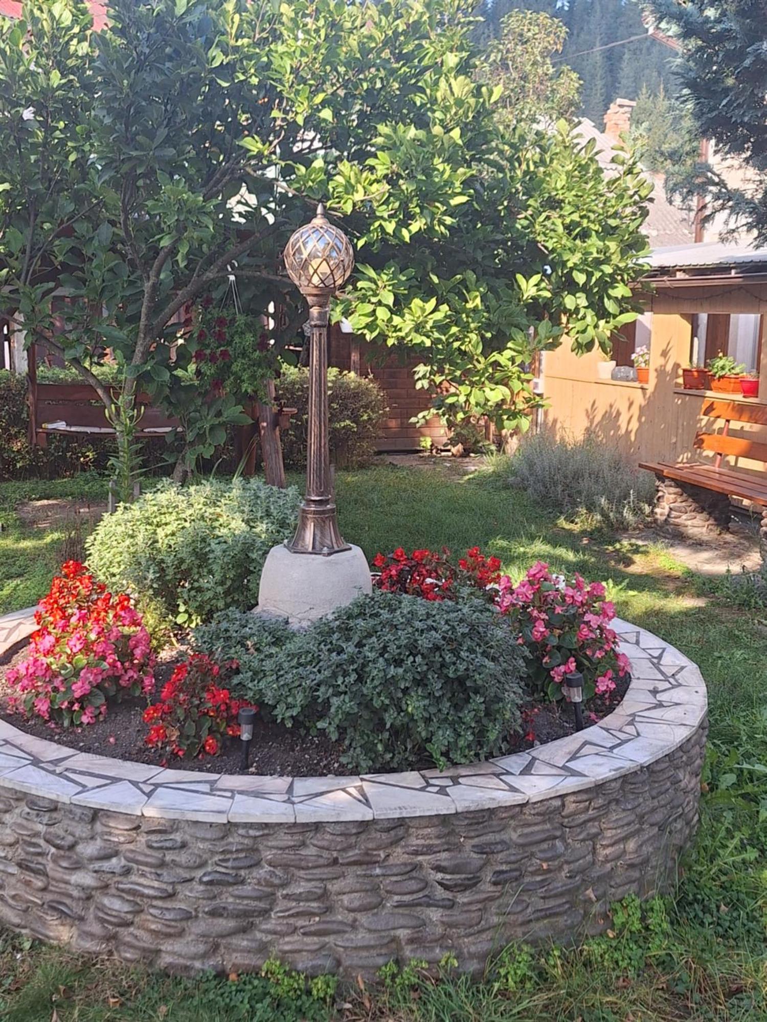 וטרה דורניי Casa Cu Lavanda מראה חיצוני תמונה